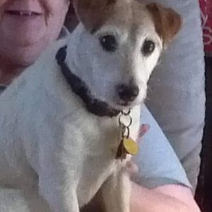 Meet your Posher, Phyllis